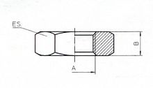 B & H Standard - Nut for bulkhead