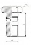 copy of B & H Standard - Banjo bolt