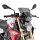 SCREEN BMW F 900 R '20-> SMOKED 29x31cm (NEEDS A5139A) Image